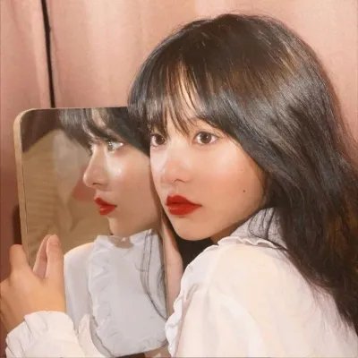 牧羊犬郁金香