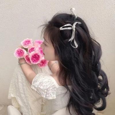 关于灰鸽子的歌